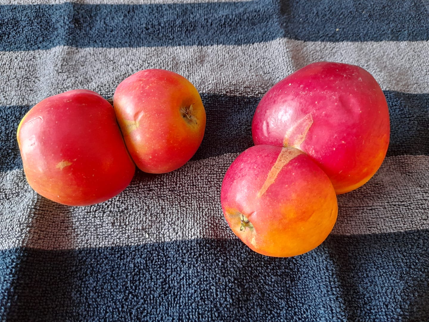 Ook Valentijn bij Lensink Aardappelen Aalten